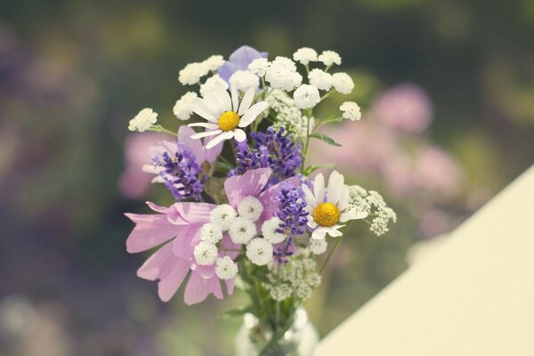 Bouquet de fleurs sauvages dans un vase