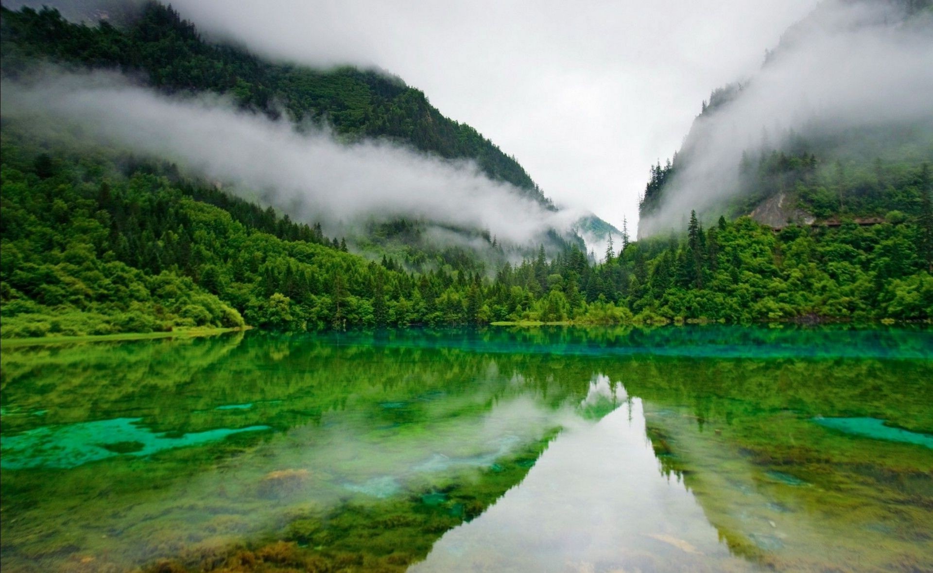 lake water landscape fog mist mountain travel nature outdoors wood river scenic valley tree environment sky daylight