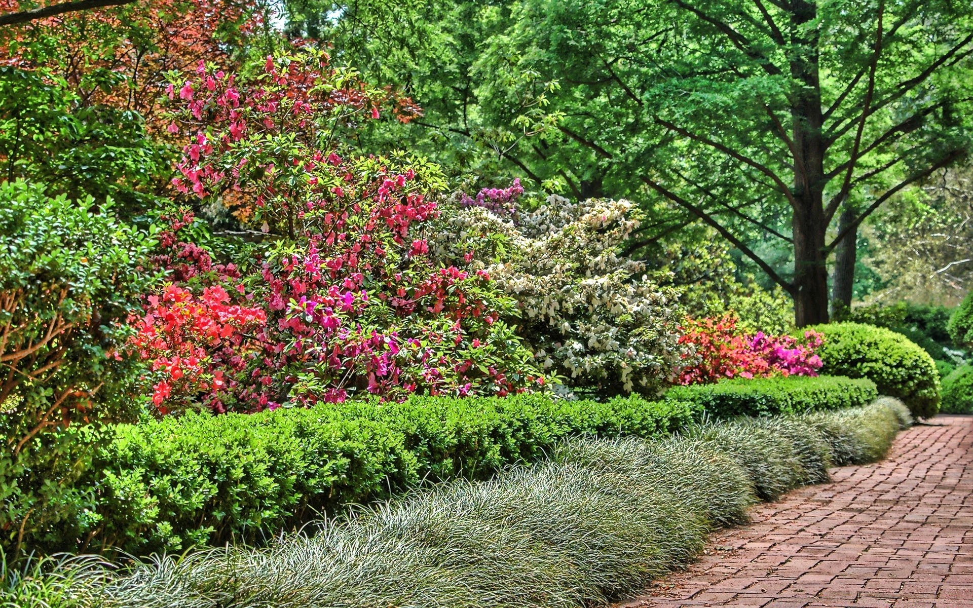 kreativ garten blume baum natur blatt strauch flora park saison landschaft wachstum im freien sommer arboretum fußweg botanisch holz