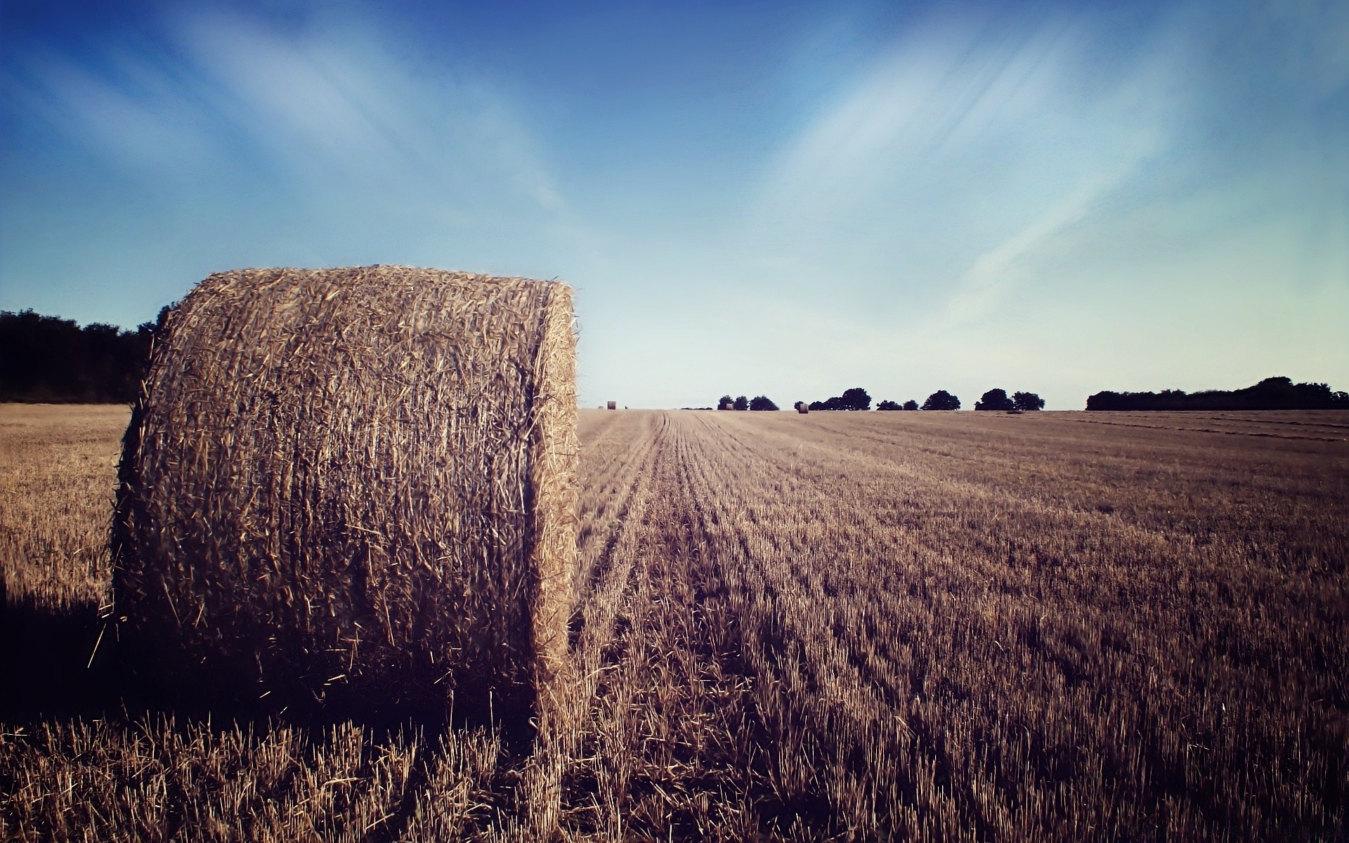 kreativ landwirtschaft weizen heu landschaft bauernhof stroh flocken des ländlichen himmel feld weide im freien landschaft ernte bebautes land natur mais bale herbst