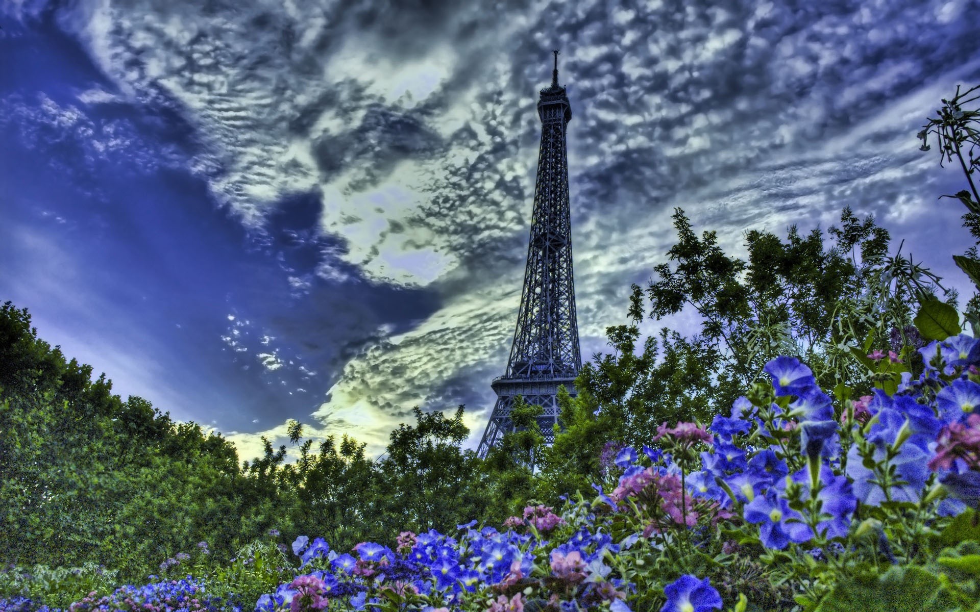 kreativ blume im freien natur himmel tageslicht sommer landschaft flora