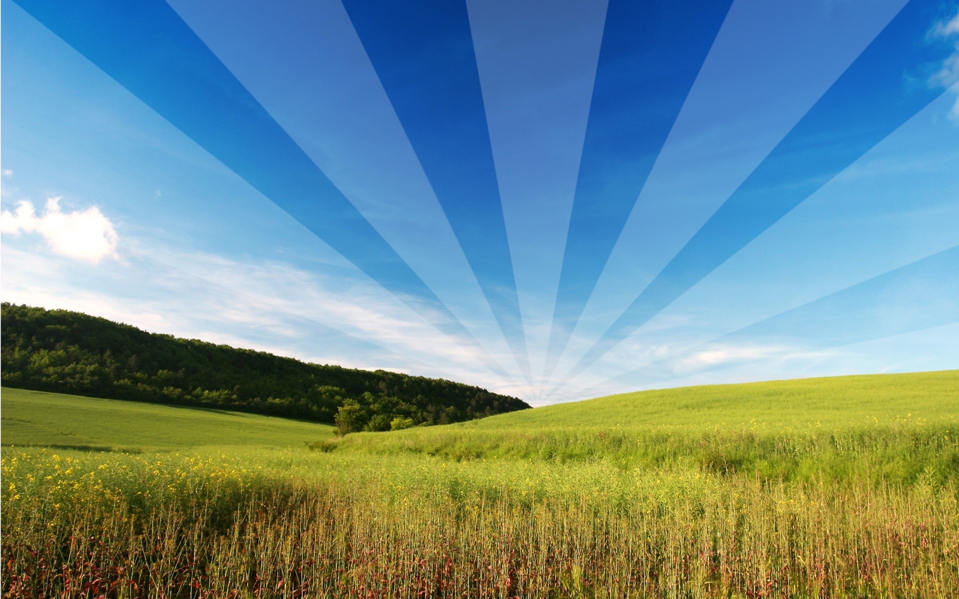 creative grass nature sky rural countryside field landscape fair weather sun summer bright hayfield