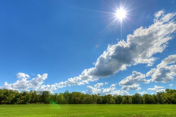 Feld Bäume Landschaft Sonne Wolken