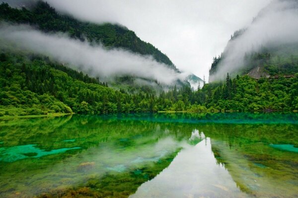 美丽的湖泊景观与雾