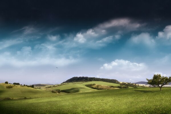 Märchenhafte Landschaft der Alpenwiesen