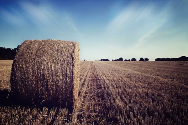 Kreative Landschaft auf dem Hintergrund des Weizenheuses in der Landwirtschaft