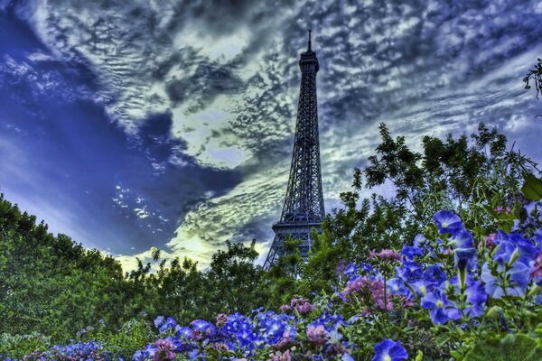 Torre Eiffel y lavanda