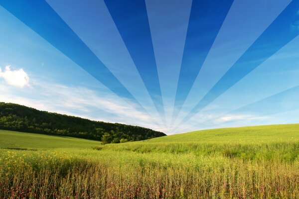 Cielo creativo sobre un campo verde