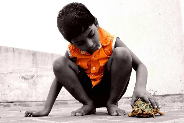 Photo of a little boy with a turtle