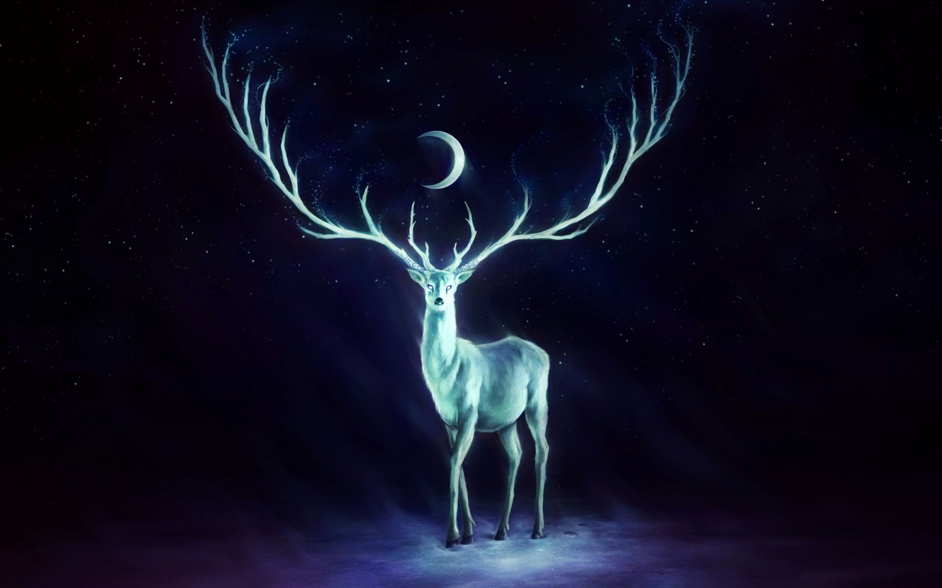 deer dark desktop moon