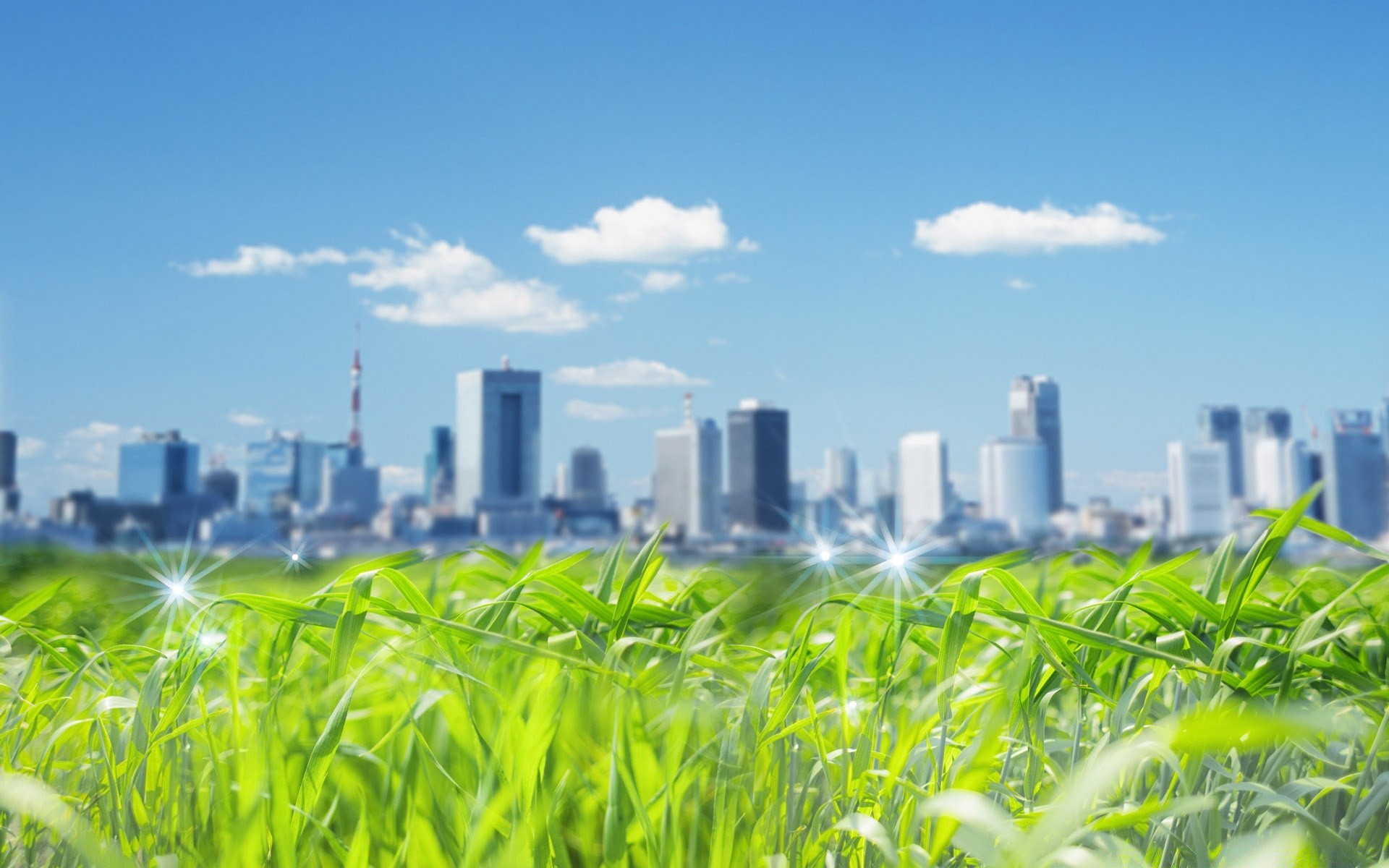 创意 领域 天空 草 自然 环境 夏天 成长 太阳 生态