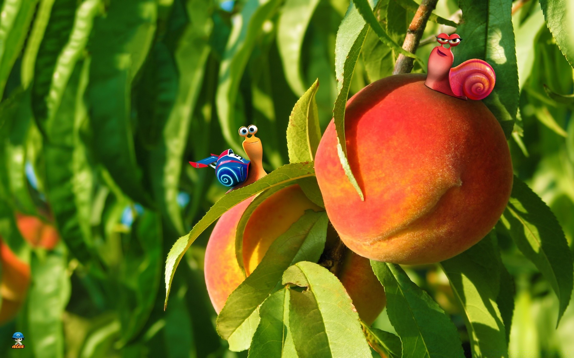 kreativ obst natur blatt essen garten tropisch sommer saftig süßwaren weide flora wachstum gesund landwirtschaft wachsen gesundheit