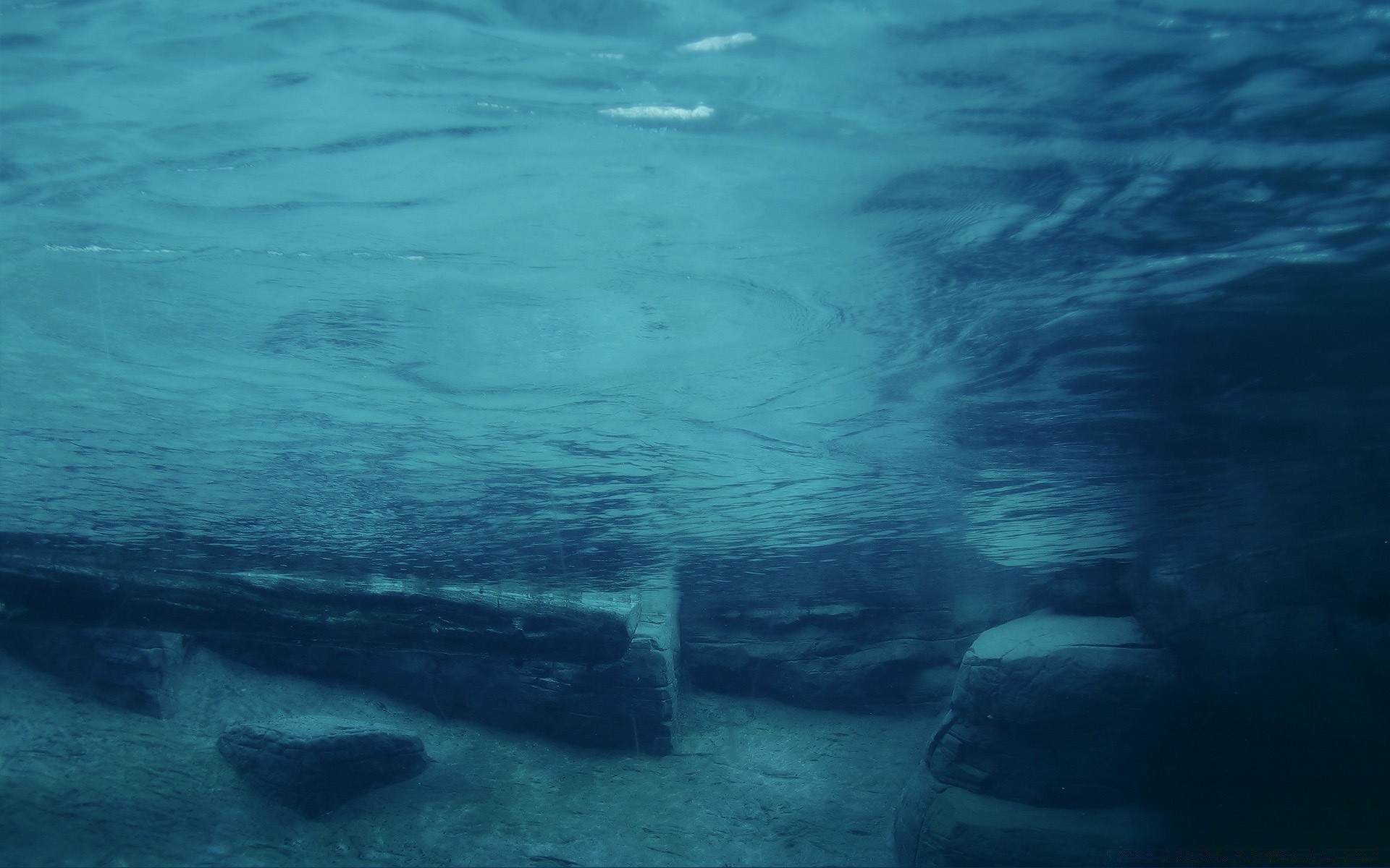 创意 水下 水 海洋 海 景观 游泳 鱼 自然 景观