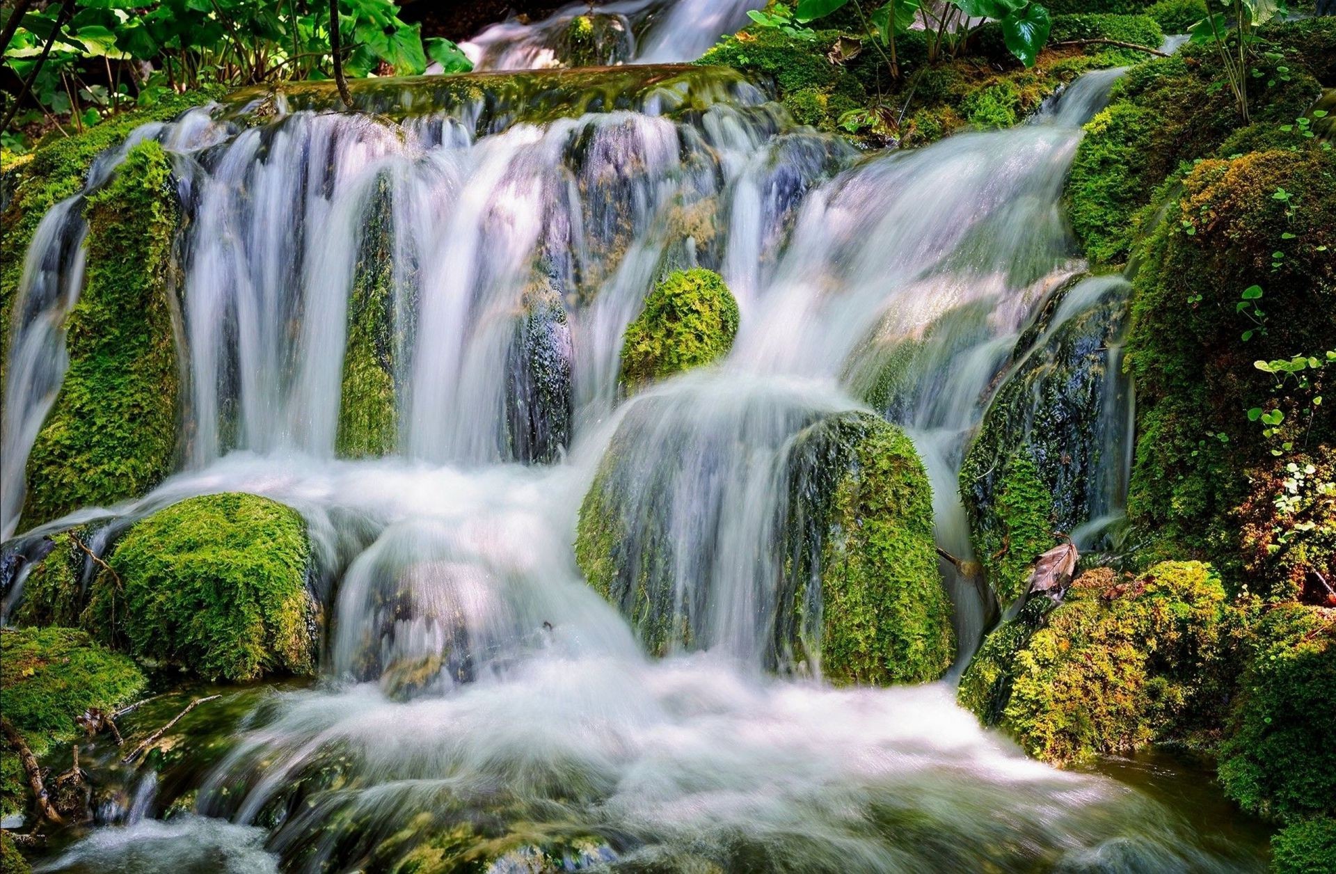 cascades cascade eau ruisseau nature cascade mousse rivière automne ruisseau bois rock ruisseau feuille humide pierre paysage sauvage splash parc