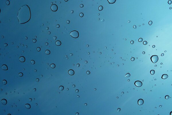 Water drops on the blue wall