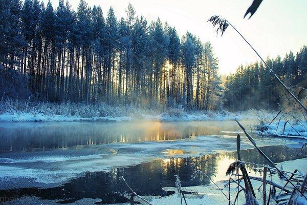 Winterlandschaft der Natur am Fluss