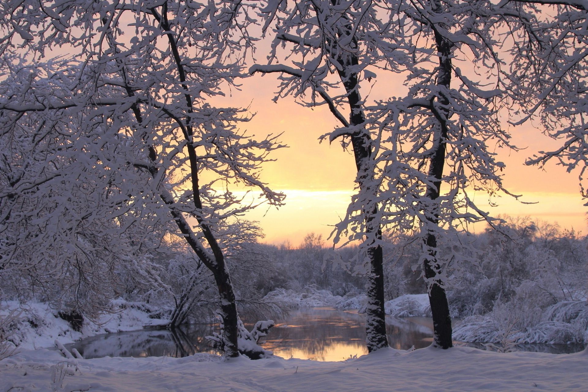 lac arbre neige hiver paysage bois branche froid scénique gel saison nature congelé météo glace parc à l extérieur