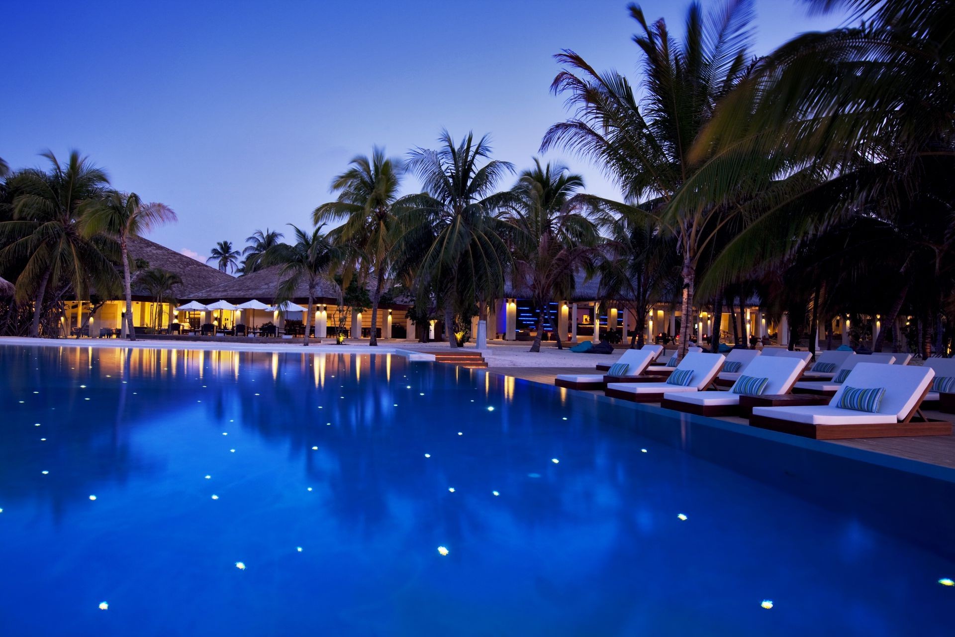 night evening twilight resort tropical travel palm hotel vacation water exotic pool luxury beach relaxation leisure swimming swimming pool idyllic sun summer ocean