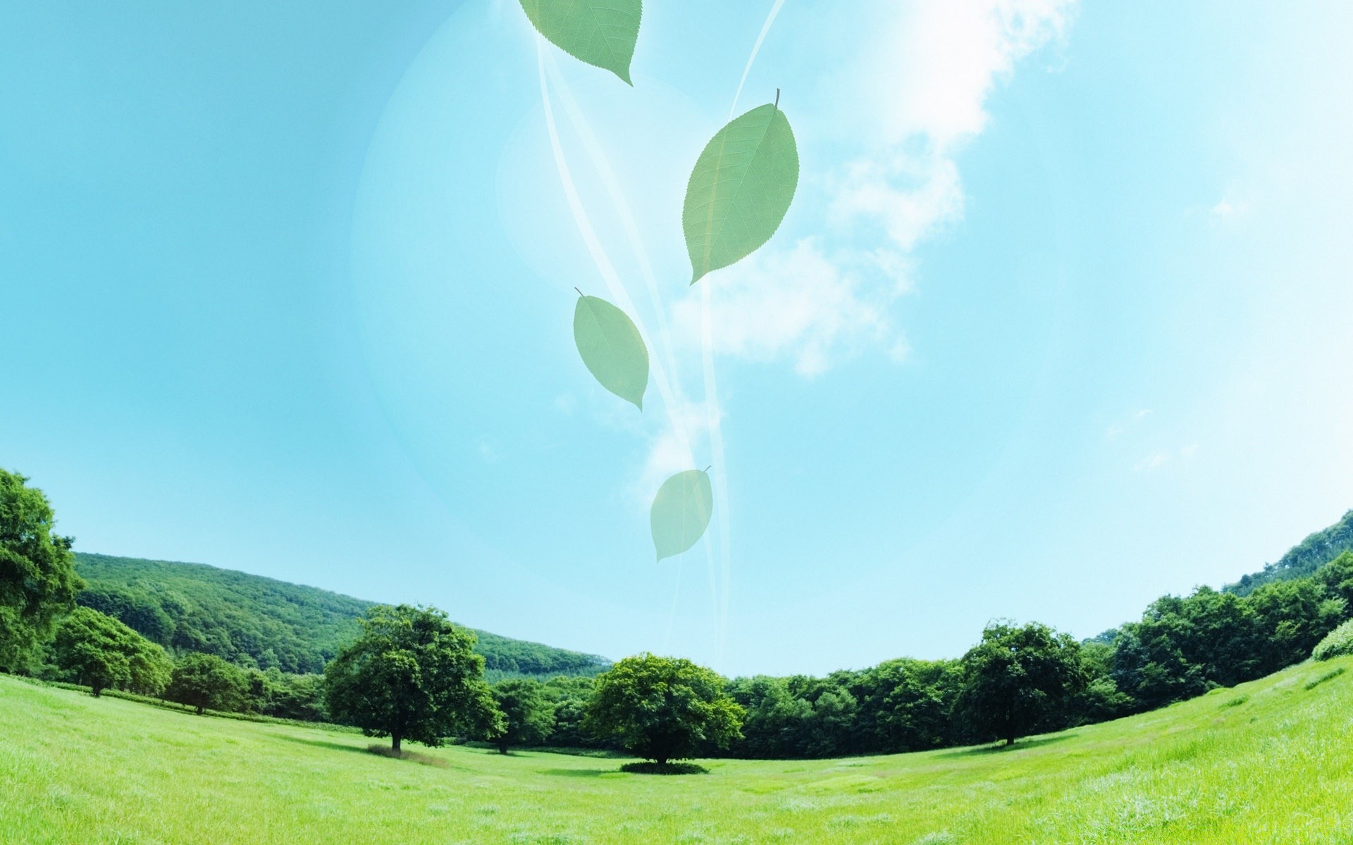 criativo natureza grama paisagem feno céu verão flora árvore ambiente campo gramado ao ar livre rural temporada bom tempo campo área de trabalho brilhante sol