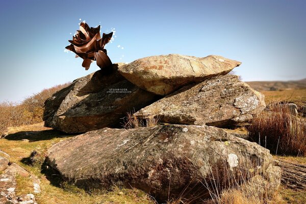 Piedras creativas en el paisaje amarillo