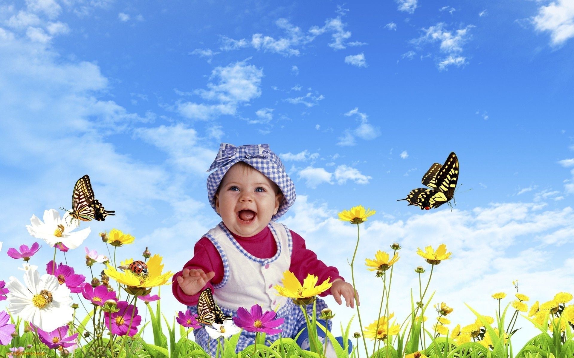 kinder lachen sommer natur blume im freien kind gras heuhaufen schön gutes wetter wenig feld himmel sonne