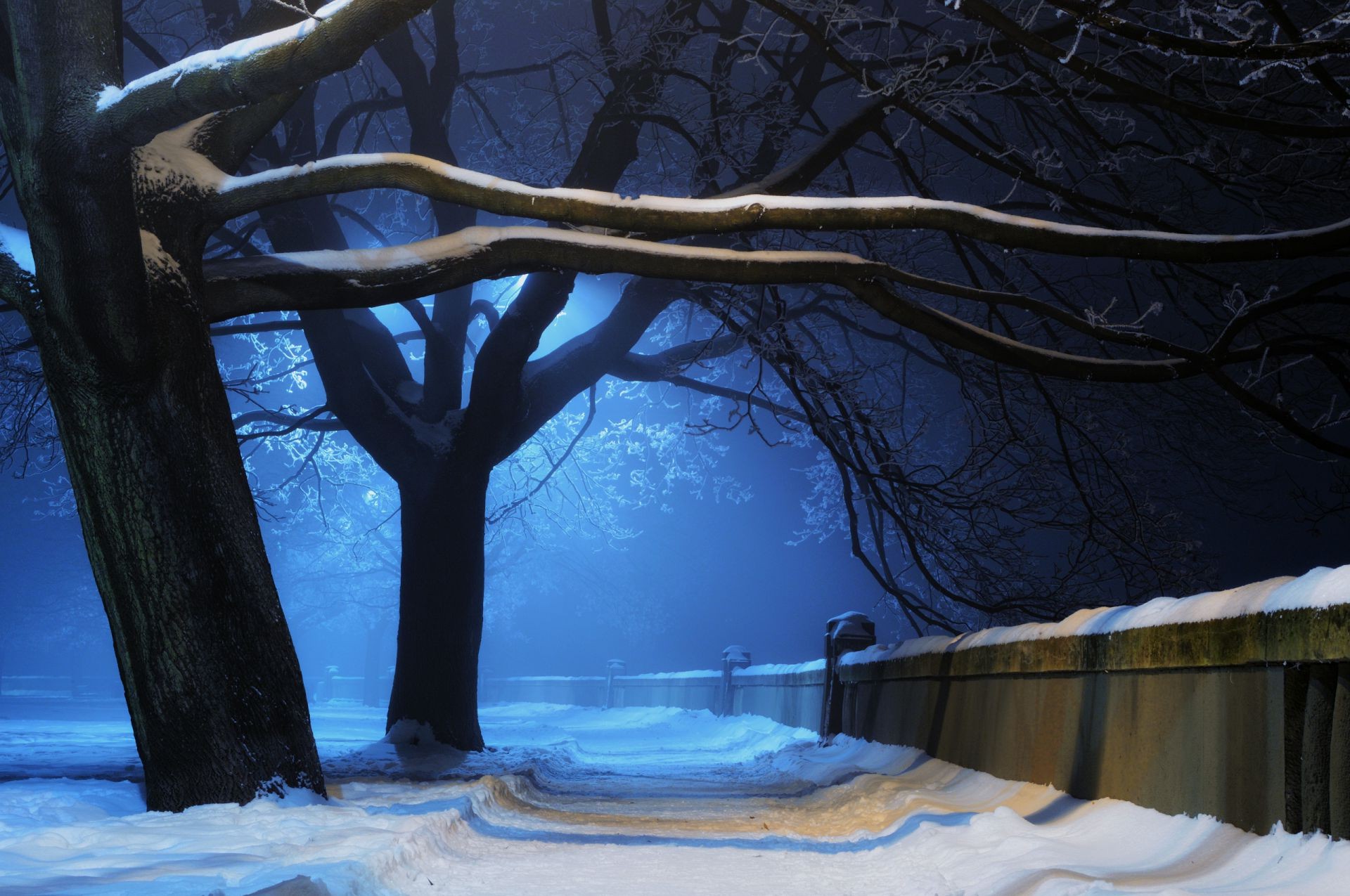 inverno neve albero freddo paesaggio acqua legno luce ghiaccio alba lago tempo natura sera congelato