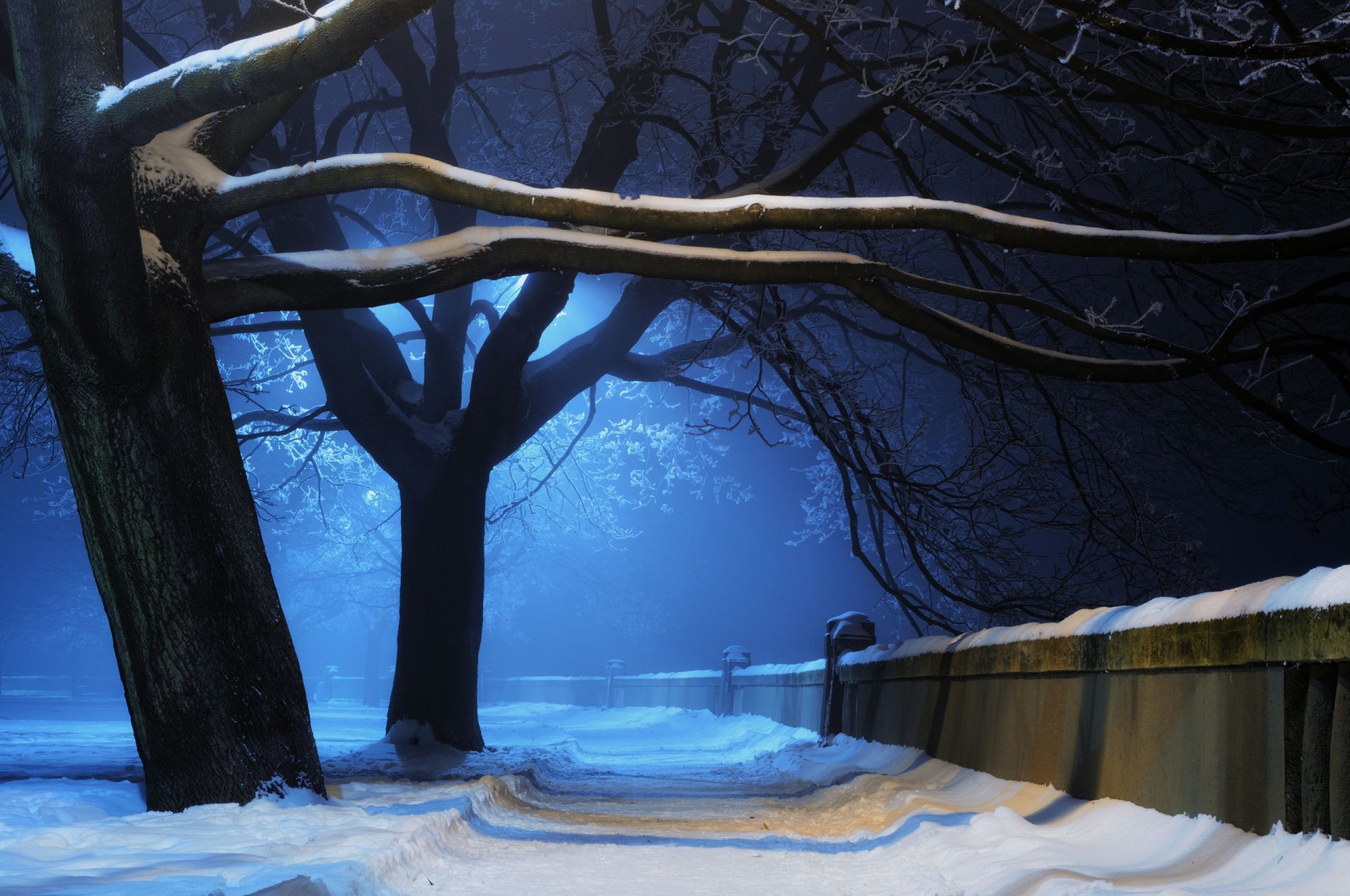 winter snow tree cold landscape water wood light ice dawn lake weather nature evening frozen