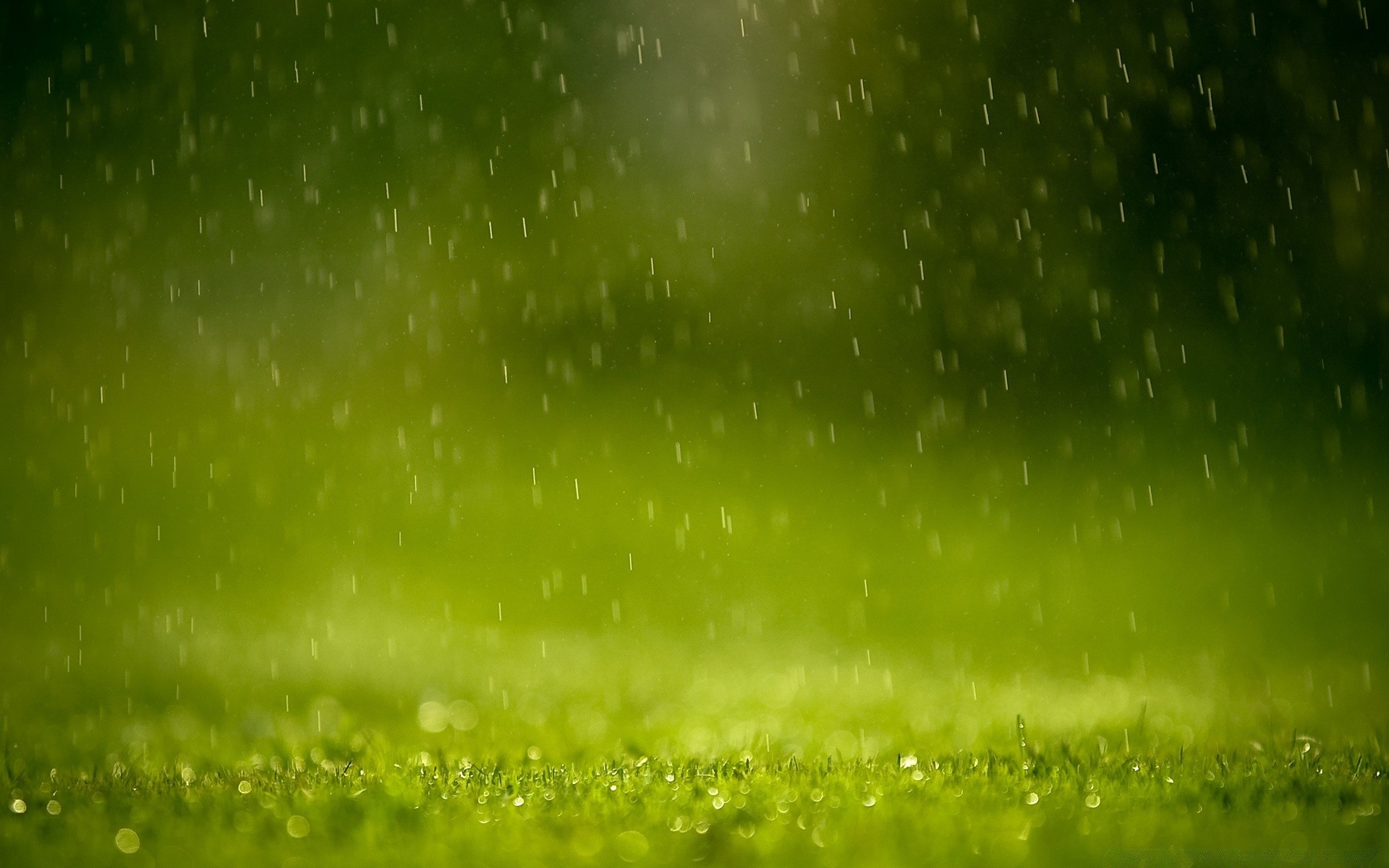 droplets and water dew abstract grass desktop nature water light rain summer drop bright wallpaper shining garden color leaf texture wet sun blur