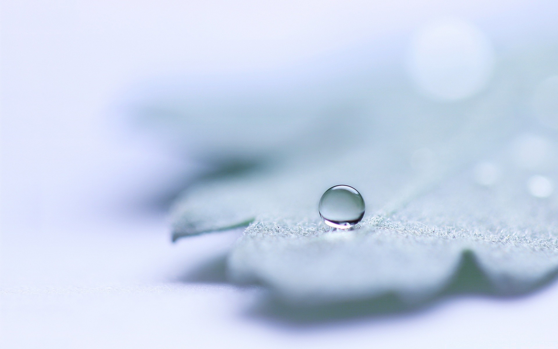 gotas y agua escritorio primer plano resumen brilla agua limpio gota lluvia reflexión líquido claro