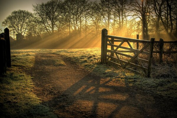 Paisaje naturaleza amanecer fondos de pantalla