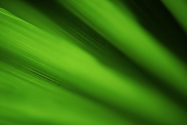 Green plant art blurring