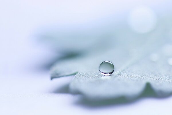 Water droplets on the sheet. Annotation