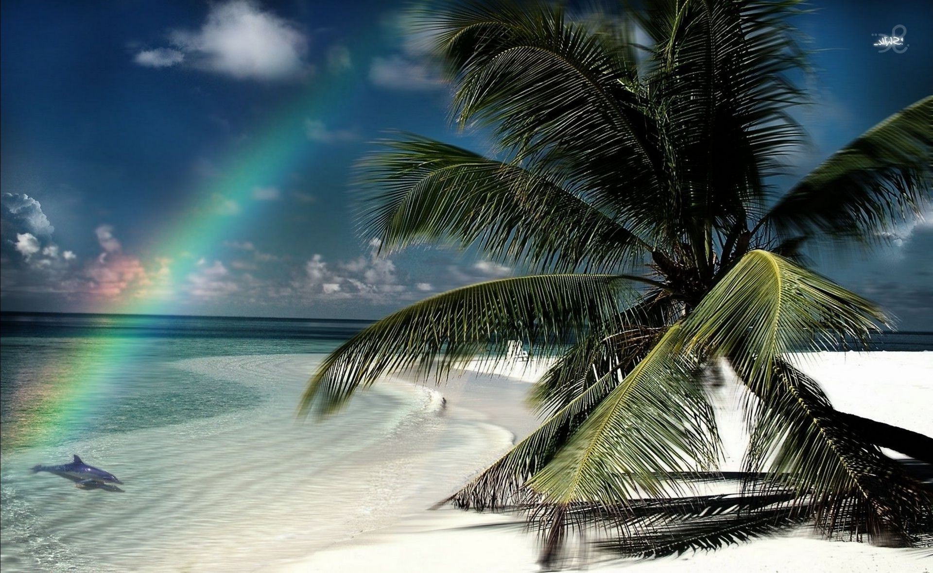 regenbogen tropisch strand ozean palmen sand wasser exotisch paradies meer insel landschaft resort reisen sonne kokosnuss sommer lagune