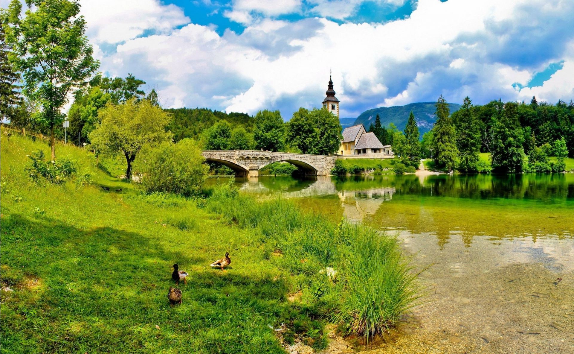 paesaggio natura albero paesaggio all aperto viaggi erba estate acqua cielo legno fiume lago scenic