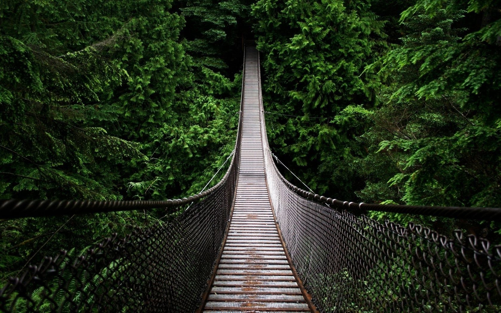 landschaft holz brücke holz natur landschaft reisen park blatt führung im freien wasser zu fuß pflaster fußabdruck fluss