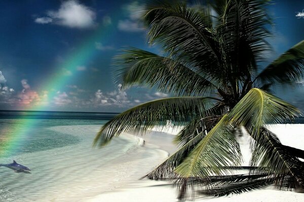 Tapete mit tropischem Strand, Ozean und Regenbogen von oben