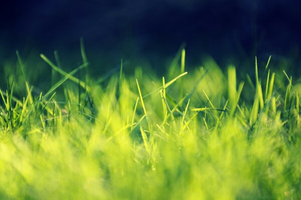 Tout cela est la nature de la conduite