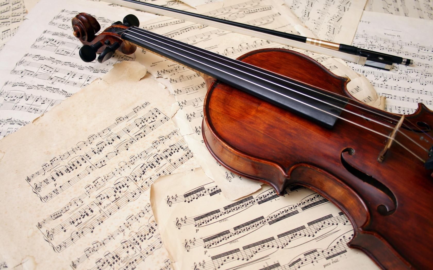 strumenti musicali violino musica classica sinfonia classico legno viola orchestra violinista strumento strumento a corda ad arco nota violoncello musica antico musicista arco armonia suono vintage