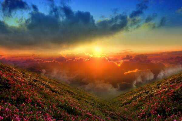 Coucher de soleil dans les montagnes fleuries sur les nuages