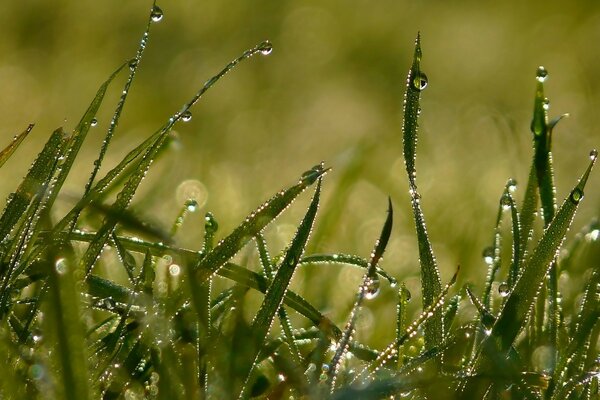 Beautiful rain falling landscape