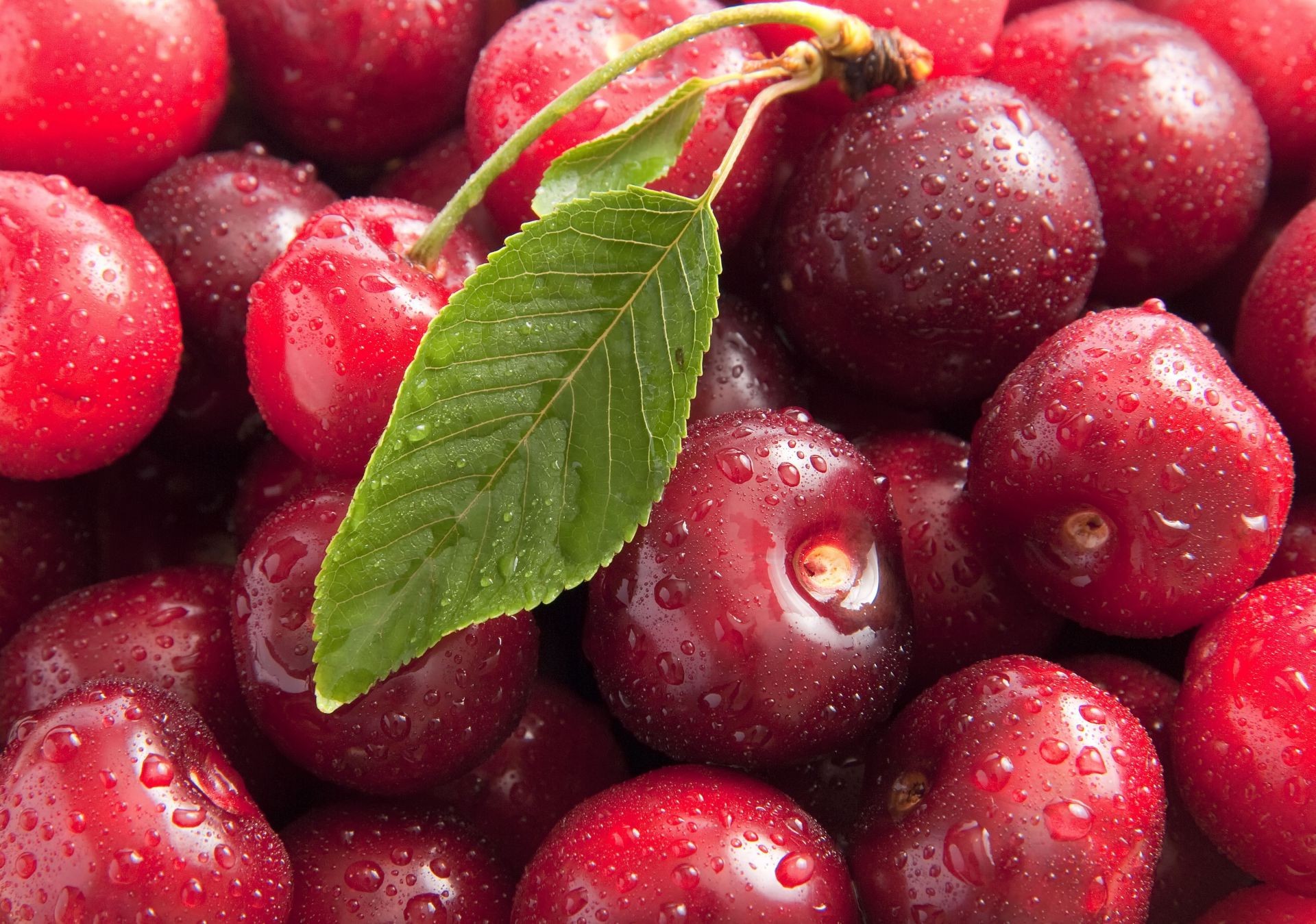 beeren obst saftig lebensmittel süßwaren beere gesundheit lecker gesund süß saft weide blatt essen frische diät landwirtschaft lecker markt vitamin