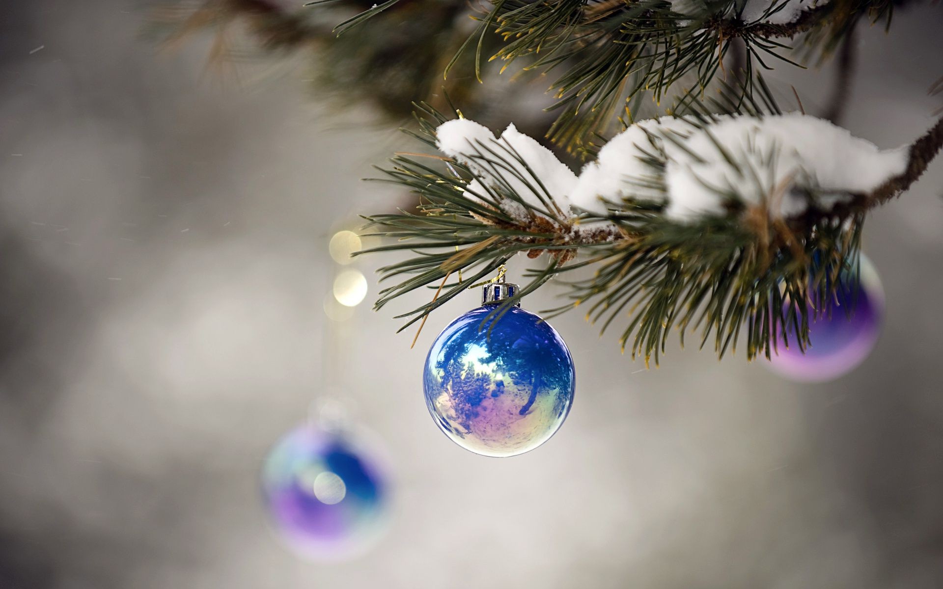 nuovo anno di inverno di natale palla albero sfera splende pino sfocatura decorazione di festa di neve ramo braccialetto abete evergreen glitters merry stagione ago