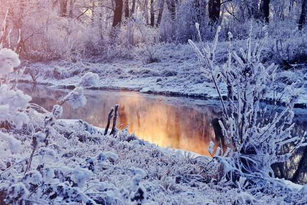 Ein frostiger Sonnenuntergang spiegelt sich im Wasser eines Flusses wider, der von Gras und Bäumen umgeben ist, die mit Gras und Bäumen bedeckt sind