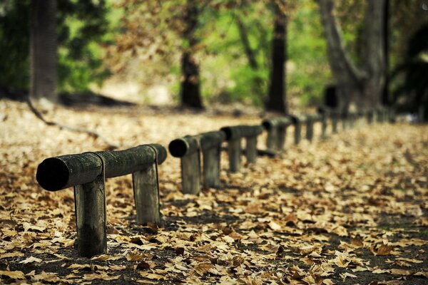 The smell of wood in the open air