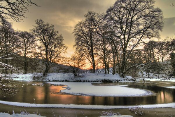 Paesaggio invernale: alberi e stagno