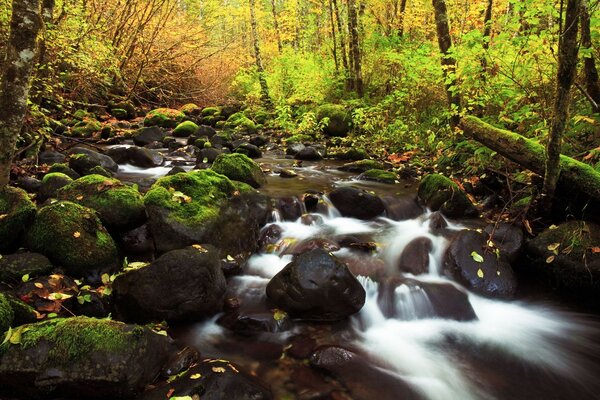 Unstoppable waterfalls in the autumn forest