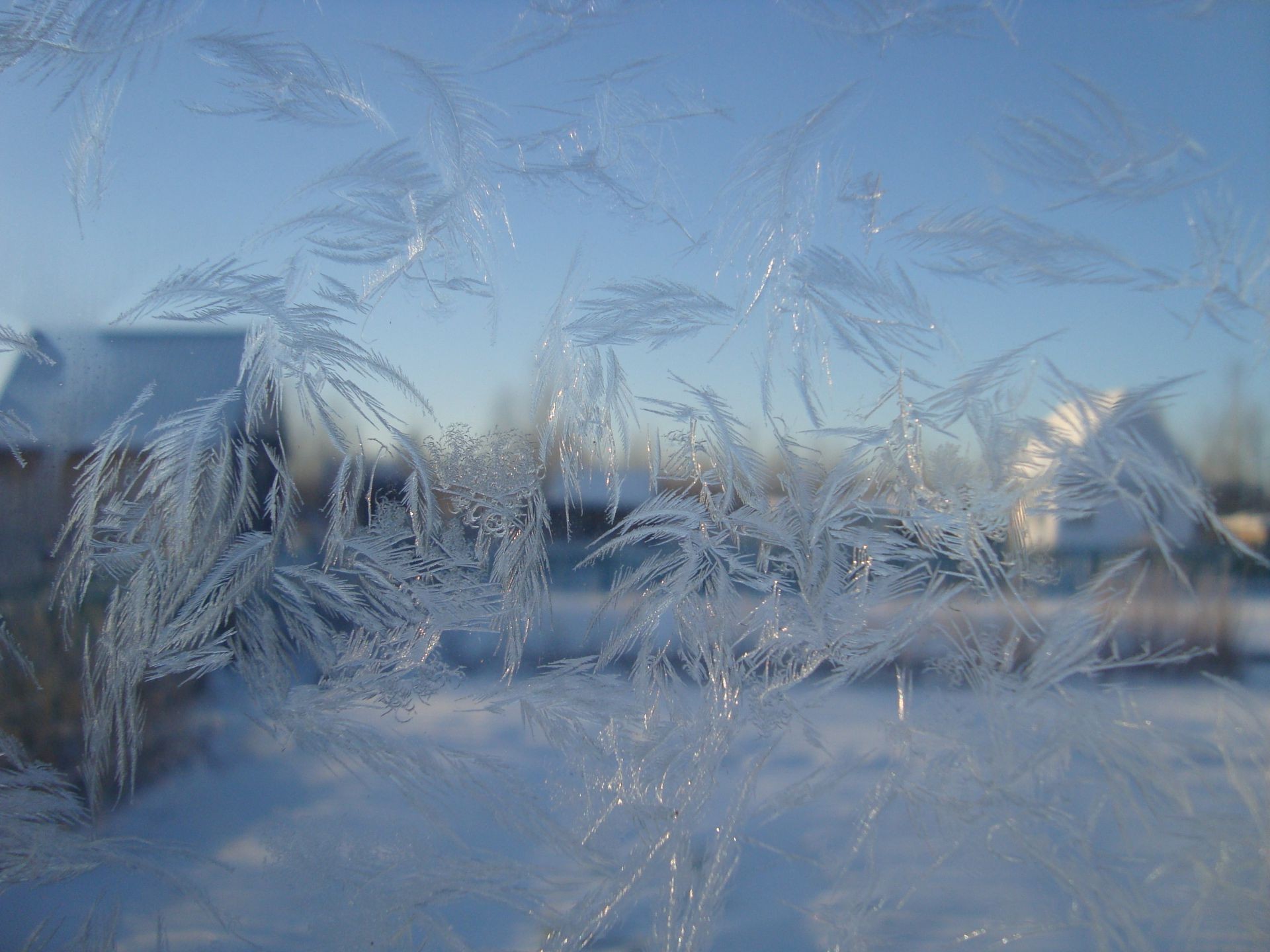 ano novo inverno neve frio geada congelado gelo paisagem temporada natureza luz geada reflexão amanhecer bom tempo tempo lago área de trabalho