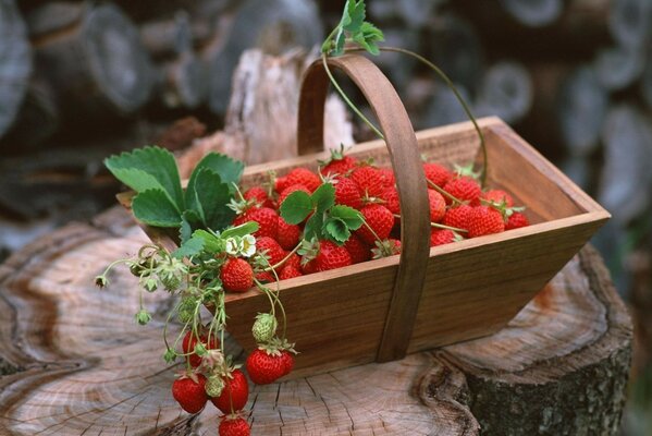 Foto de frutas en forma de bayas en una cesta