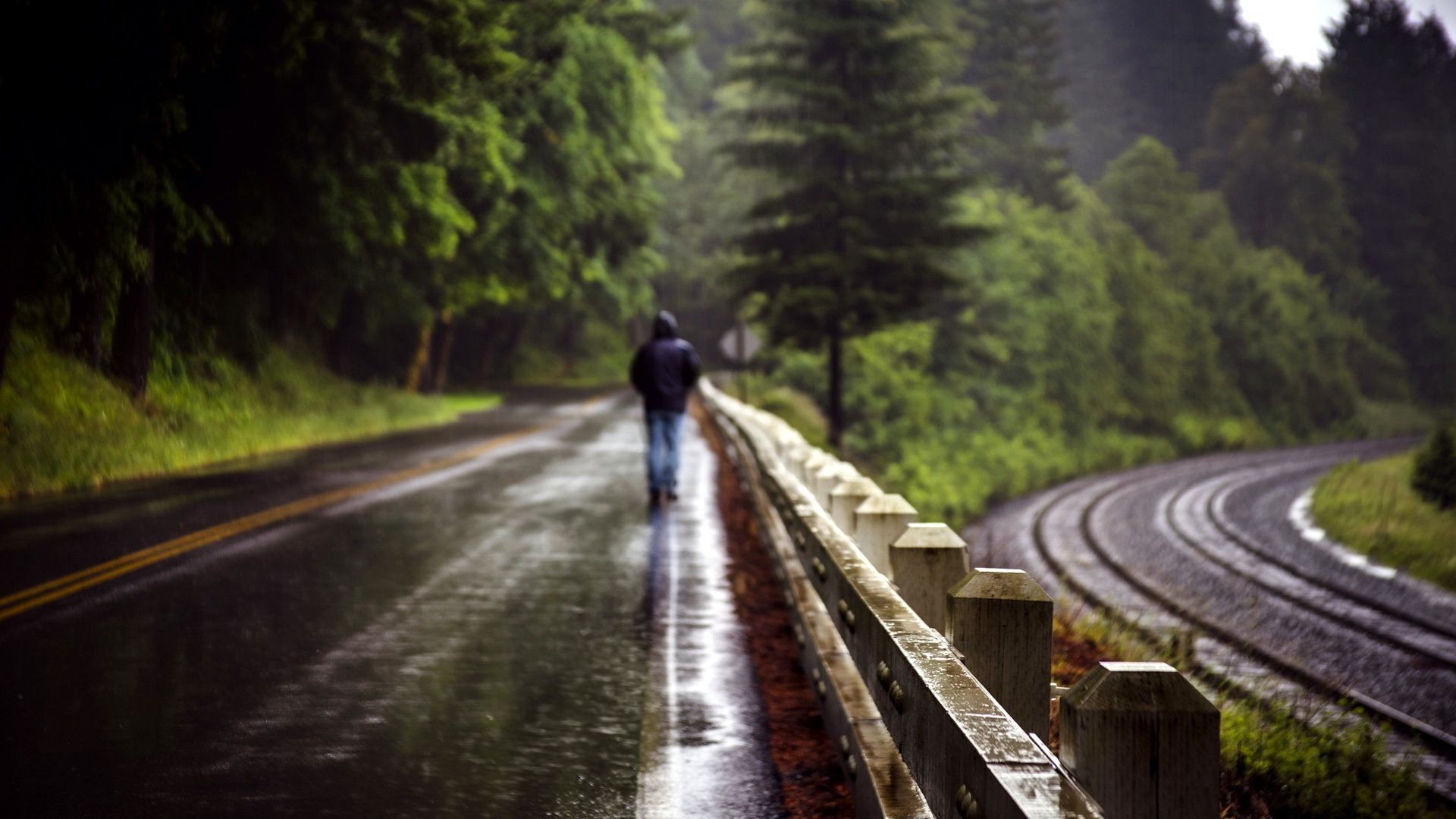road transportation system guidance travel tree wood daylight outdoors track highway landscape drive train blur scenic motion curve nature