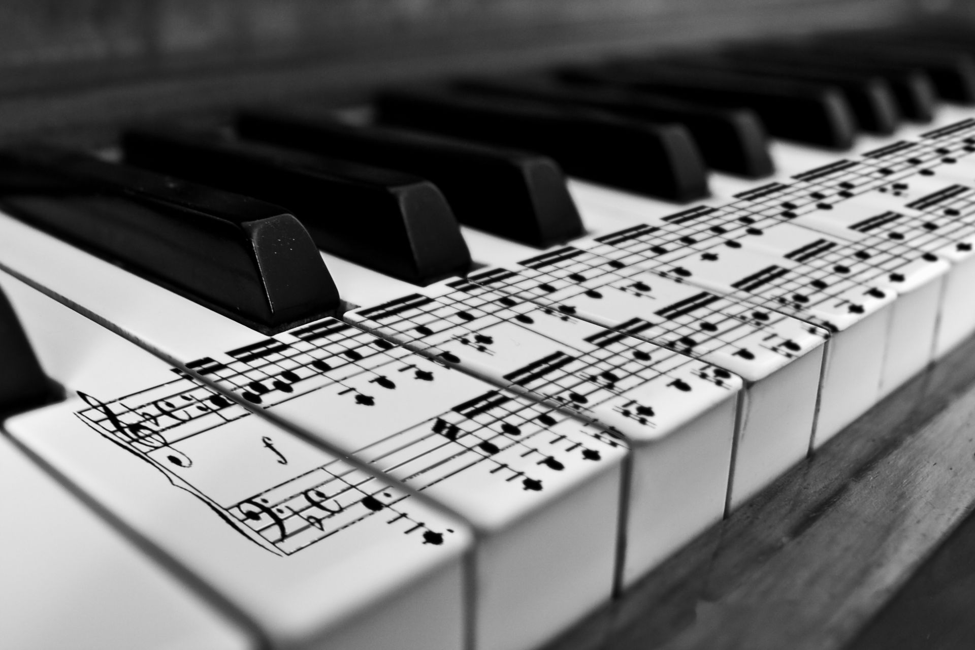 instrumentos musicais piano teclado som música canção instrumento gato chave jazz ébano sintetizador acorde acústico nota harmonia jogar ritmo músico